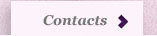 contacts